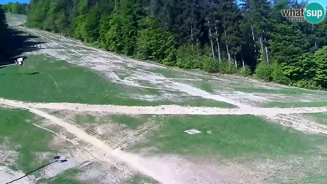 Web Camera Pohorje Trikotna Jasa | Poštela
