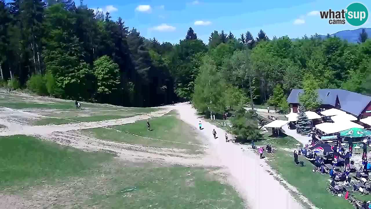 Webcam Pohorje Trikotna Jasa | Poštela