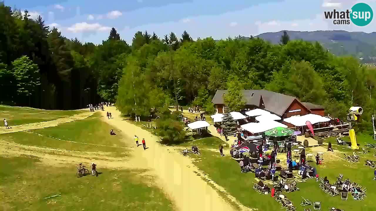Spletna Kamera Pohorje Trikotna Jasa | Poštela