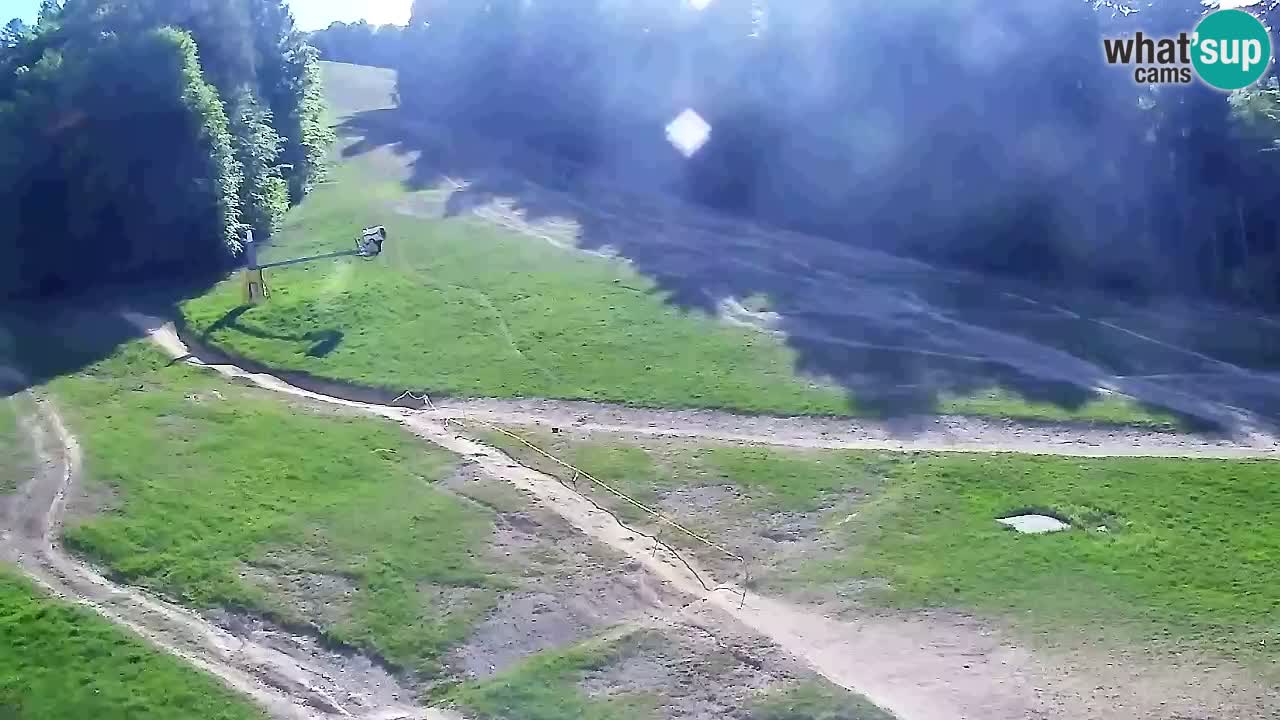 Webcam Pohorje Trikotna Jasa | Poštela