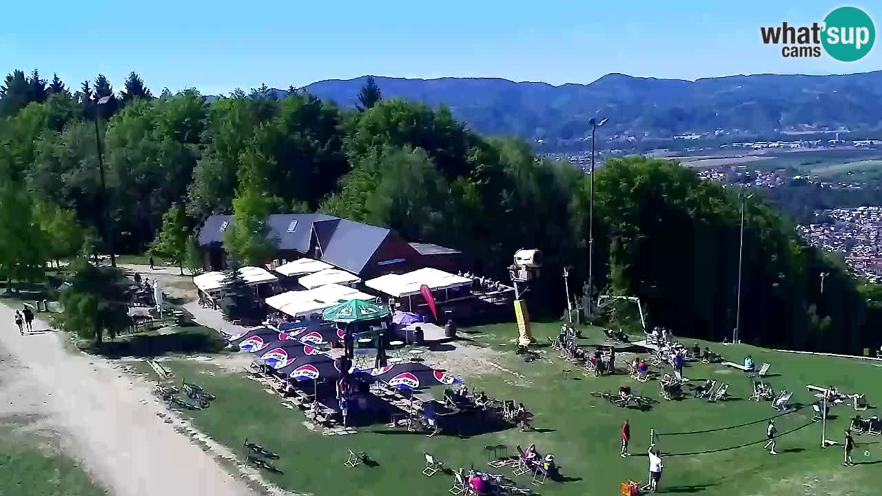 Webcam Pohorje Trikotna Jasa | Poštela