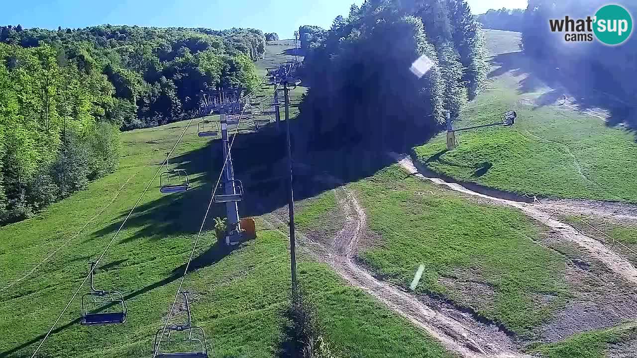 Webcam Pohorje Trikotna Jasa | Poštela