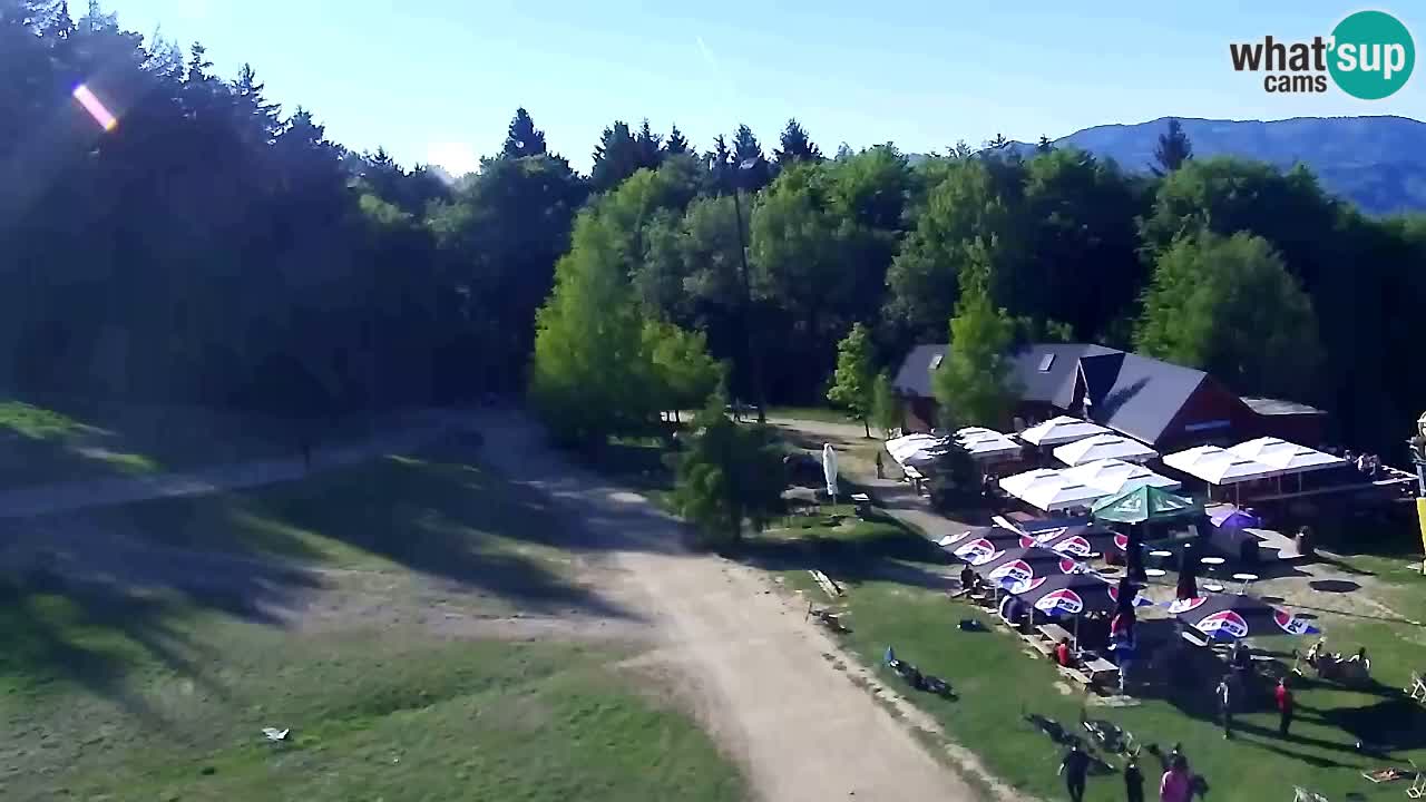 Webcam Pohorje Trikotna Jasa | Poštela