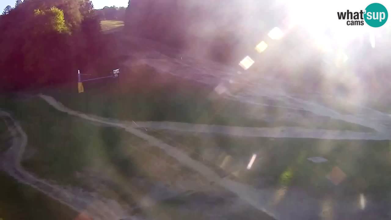 Webcam Pohorje Trikotna Jasa | Poštela