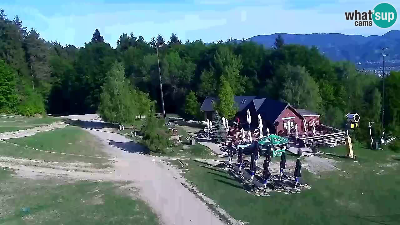 Webcam Pohorje Trikotna Jasa | Poštela