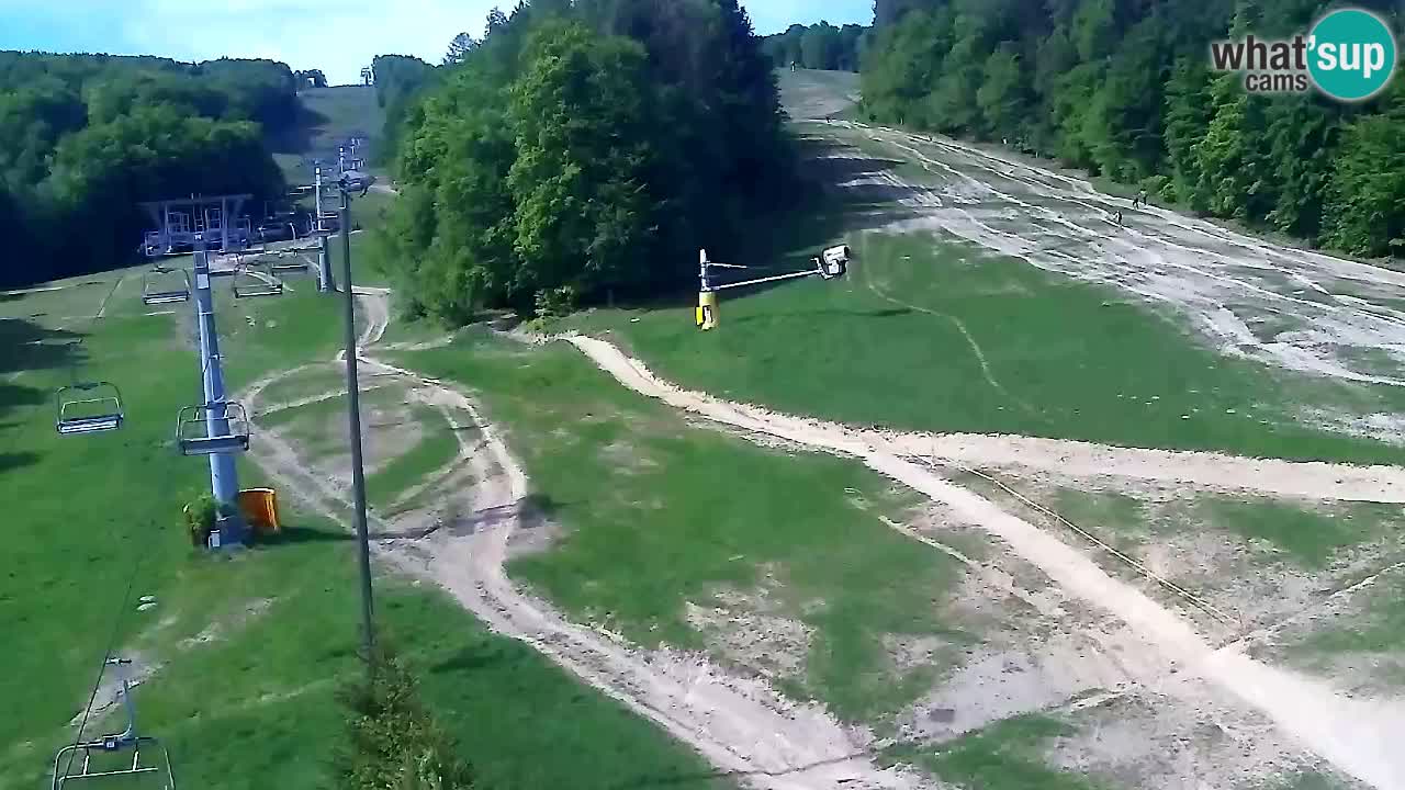 Webcam Pohorje Trikotna Jasa | Poštela