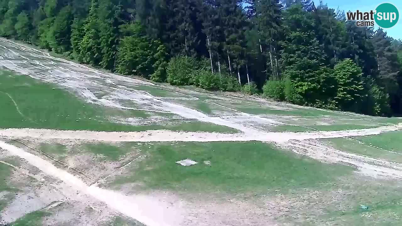 Webcam Pohorje Trikotna Jasa | Poštela