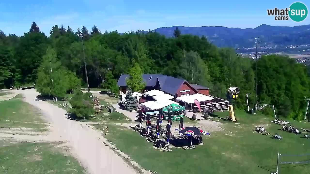 Webcam Pohorje Trikotna Jasa | Poštela