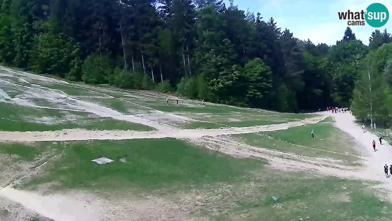 Spletna Kamera Pohorje Trikotna Jasa | Poštela