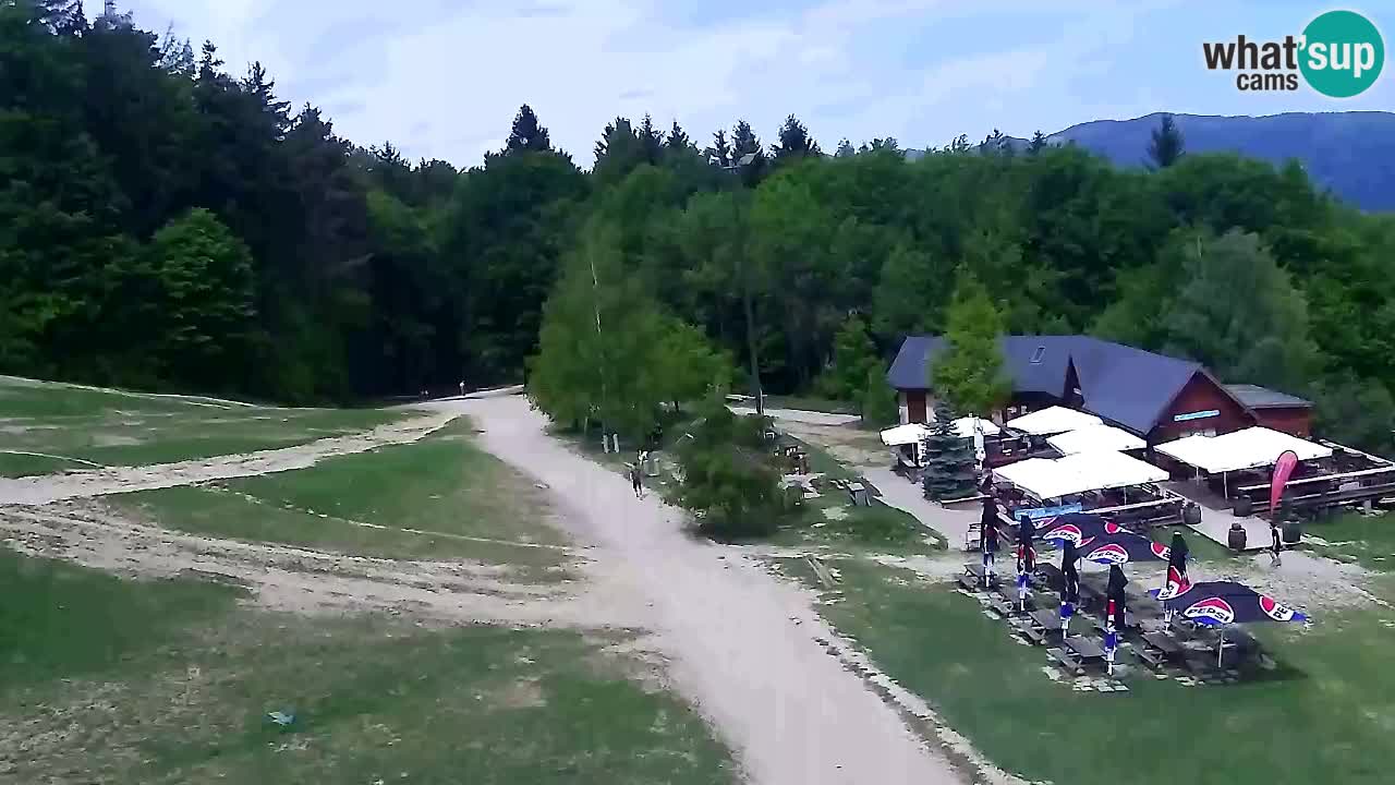 Webcam Pohorje Trikotna Jasa | Poštela