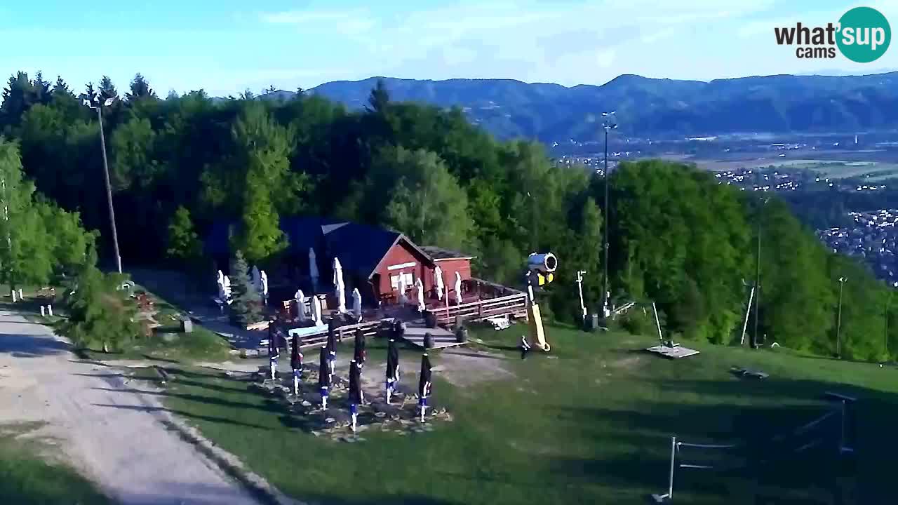 Web Camera Pohorje Trikotna Jasa | Poštela