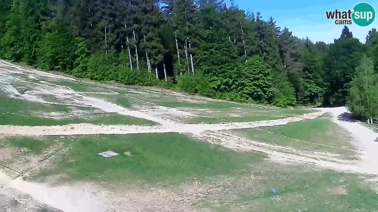 Webcam Pohorje Trikotna Jasa | Poštela