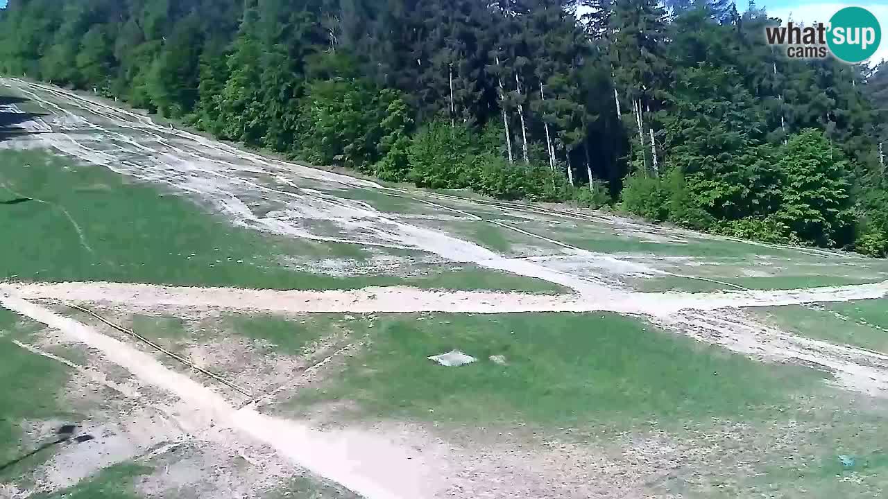 Webcam Pohorje Trikotna Jasa | Poštela