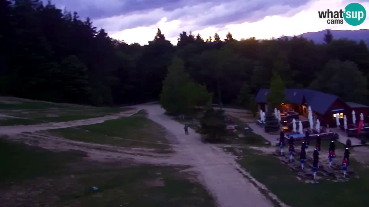 Webcam Pohorje Trikotna Jasa | Poštela