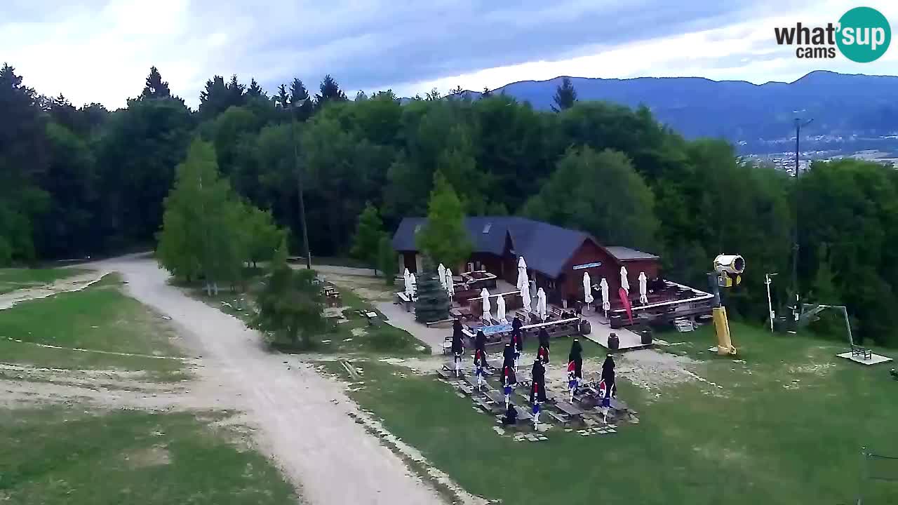 Webcam Pohorje Trikotna Jasa | Poštela