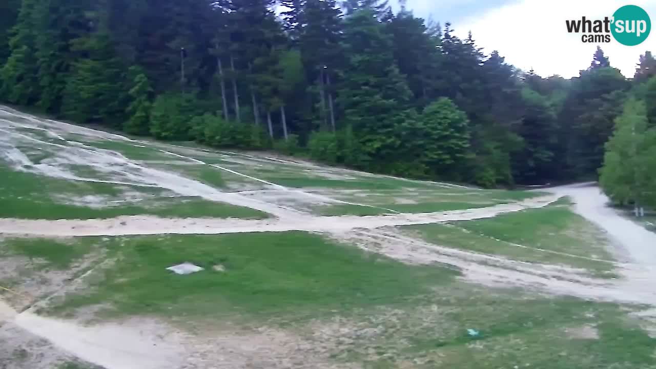 Webcam Pohorje Trikotna Jasa | Poštela