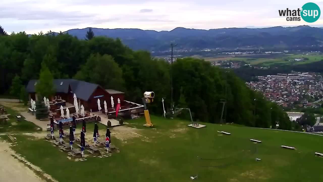 Webcam Pohorje Trikotna Jasa | Poštela