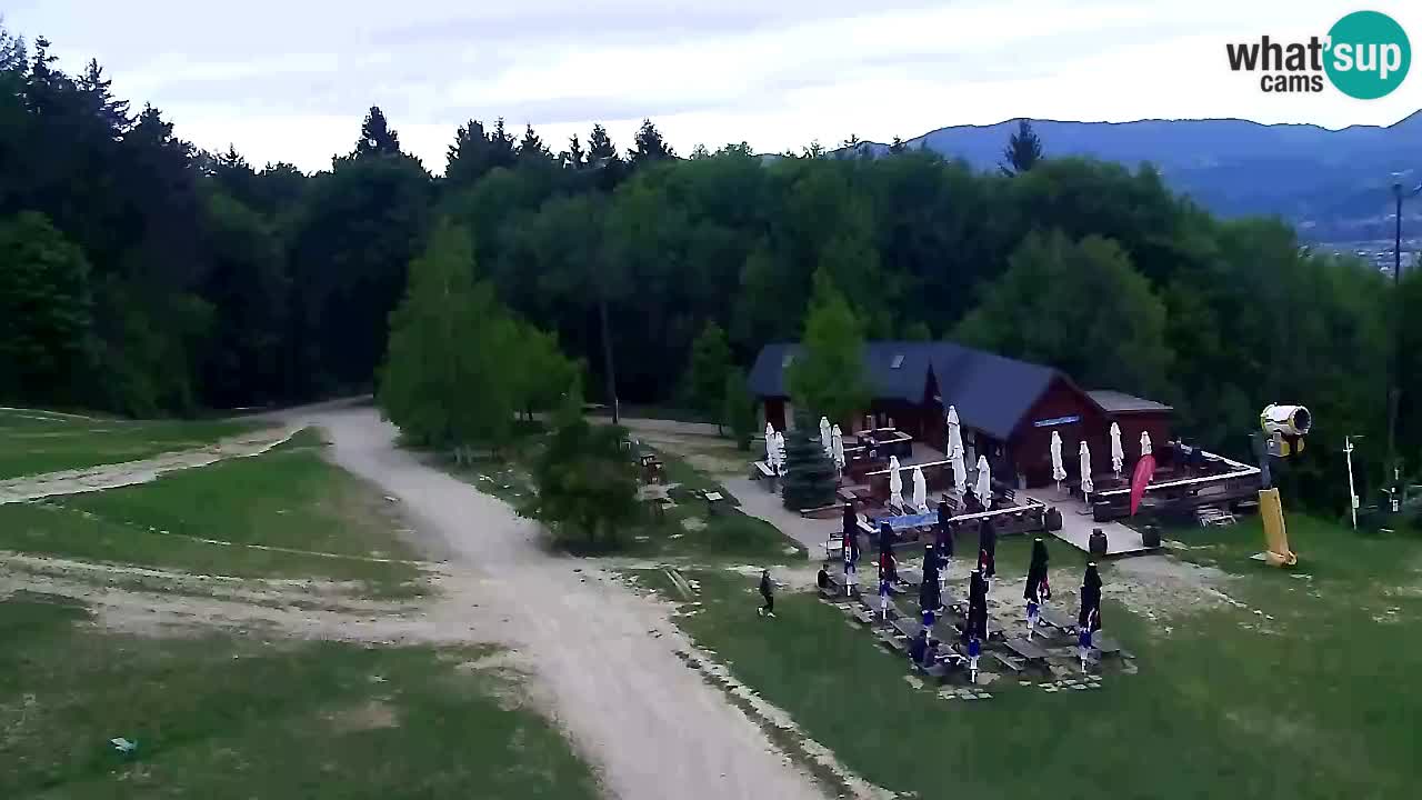 Web Camera Pohorje Trikotna Jasa | Poštela