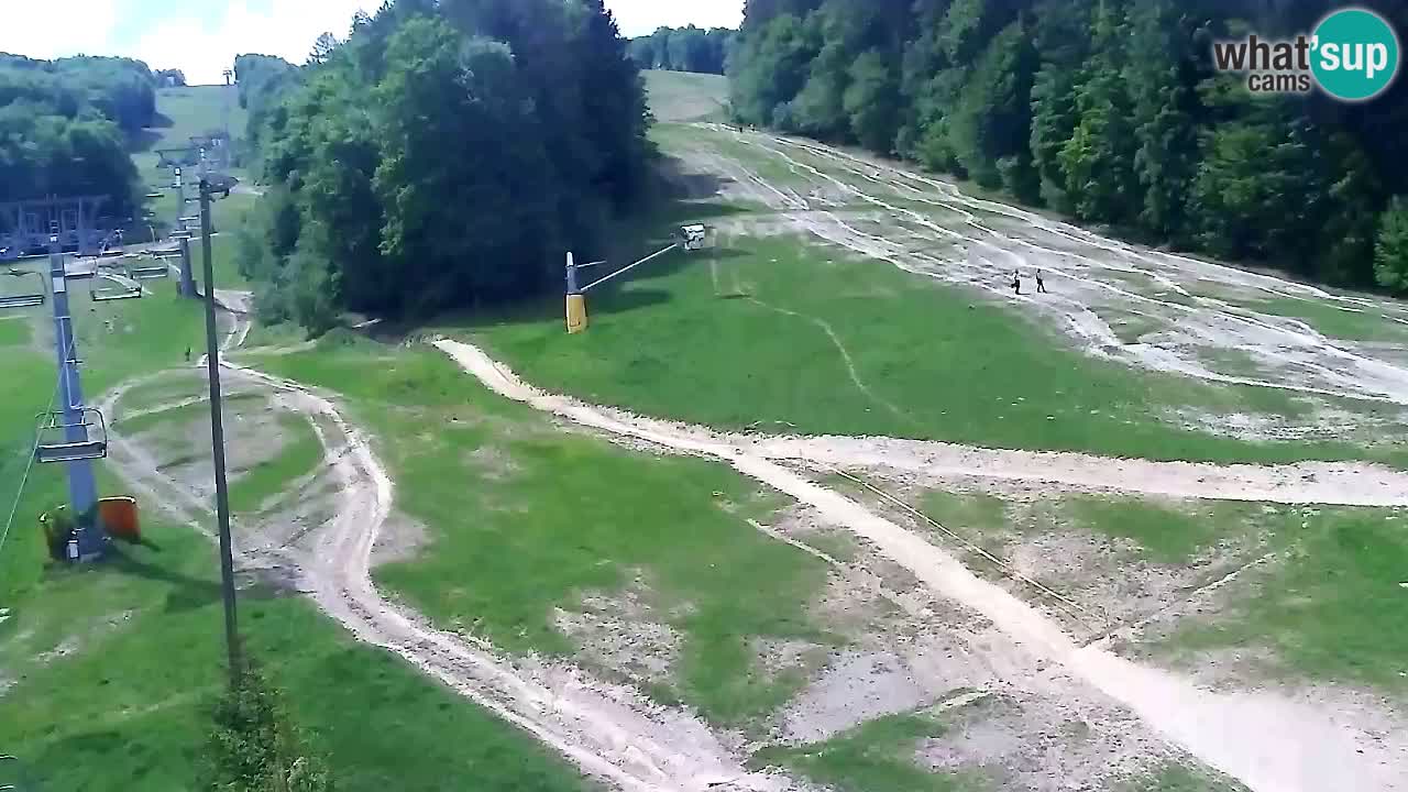 Webcam Pohorje Trikotna Jasa | Poštela