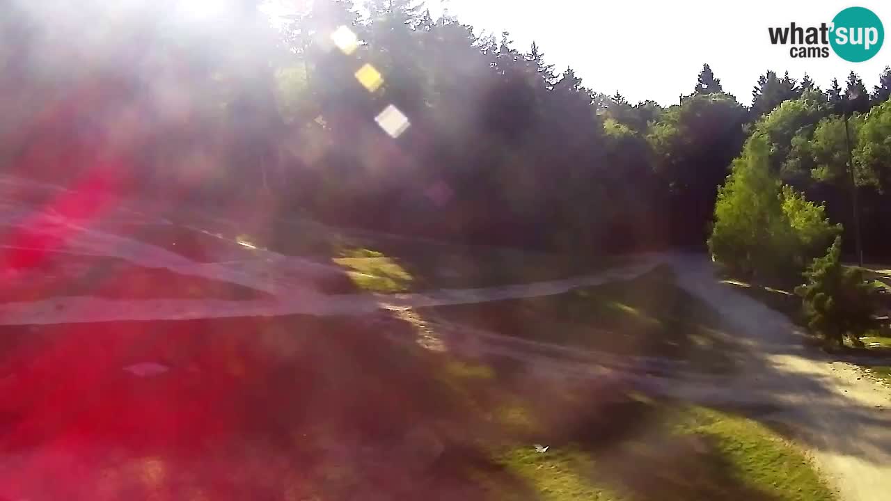 Webcam Pohorje Trikotna Jasa | Poštela