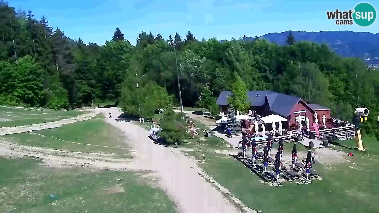 Webcam Pohorje Trikotna Jasa | Poštela
