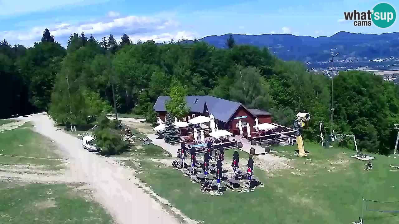 Web Camera Pohorje Trikotna Jasa | Poštela
