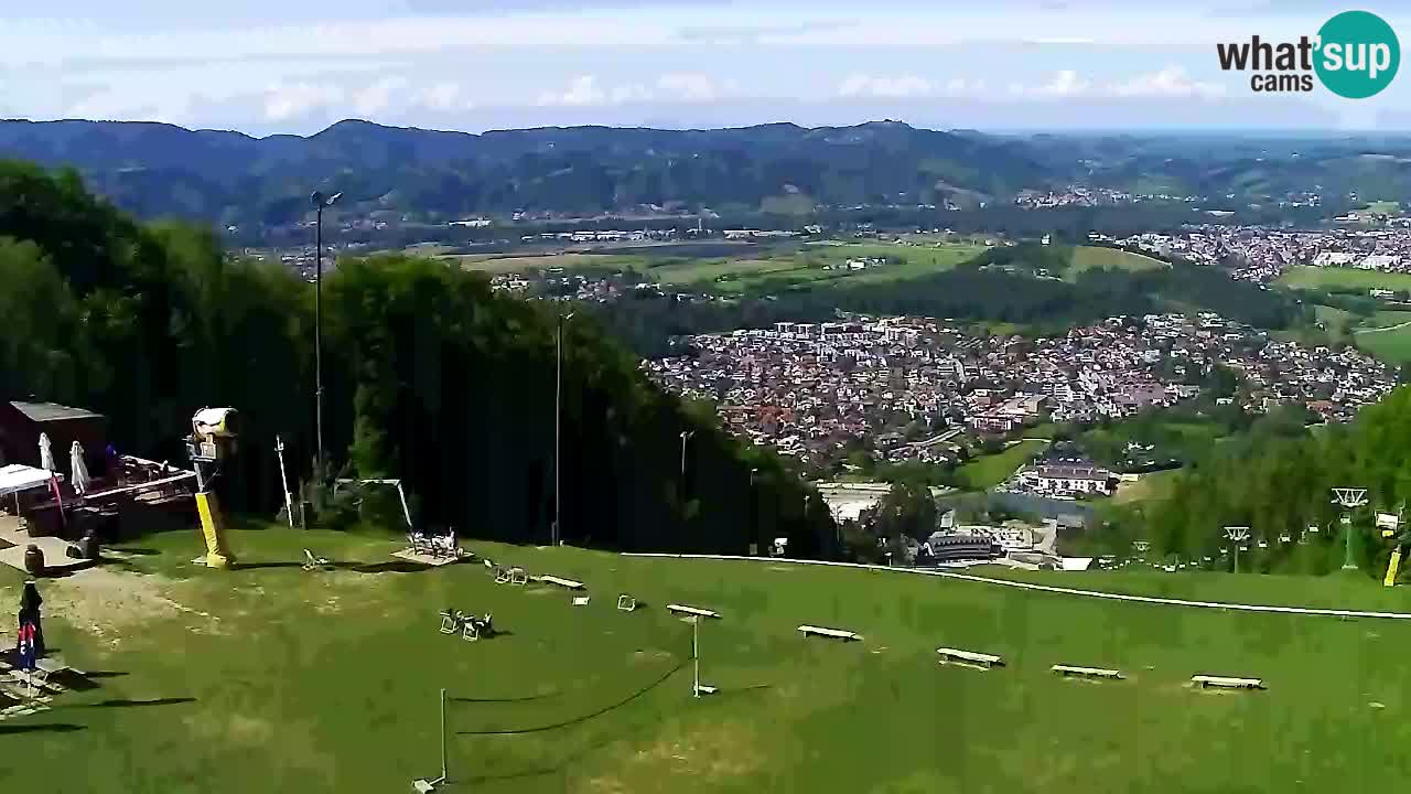Webcam Pohorje Trikotna Jasa | Poštela