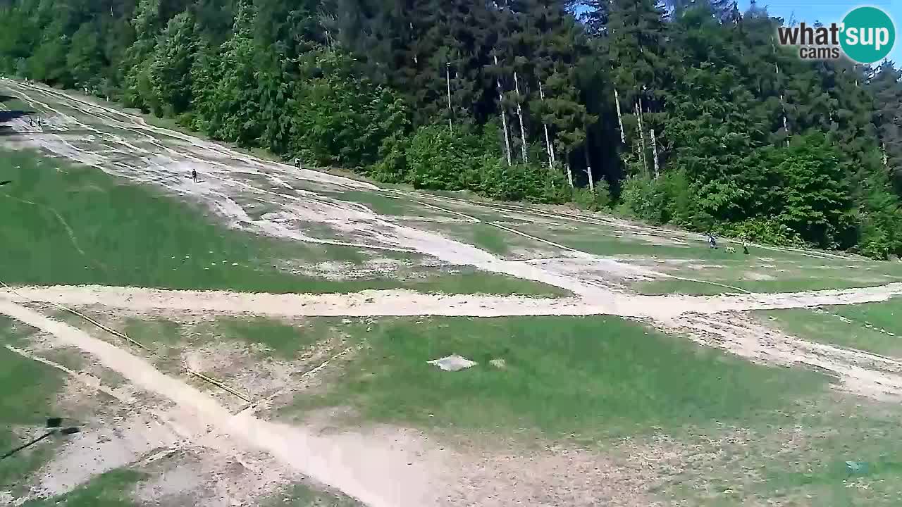 Webcam Pohorje Trikotna Jasa | Poštela