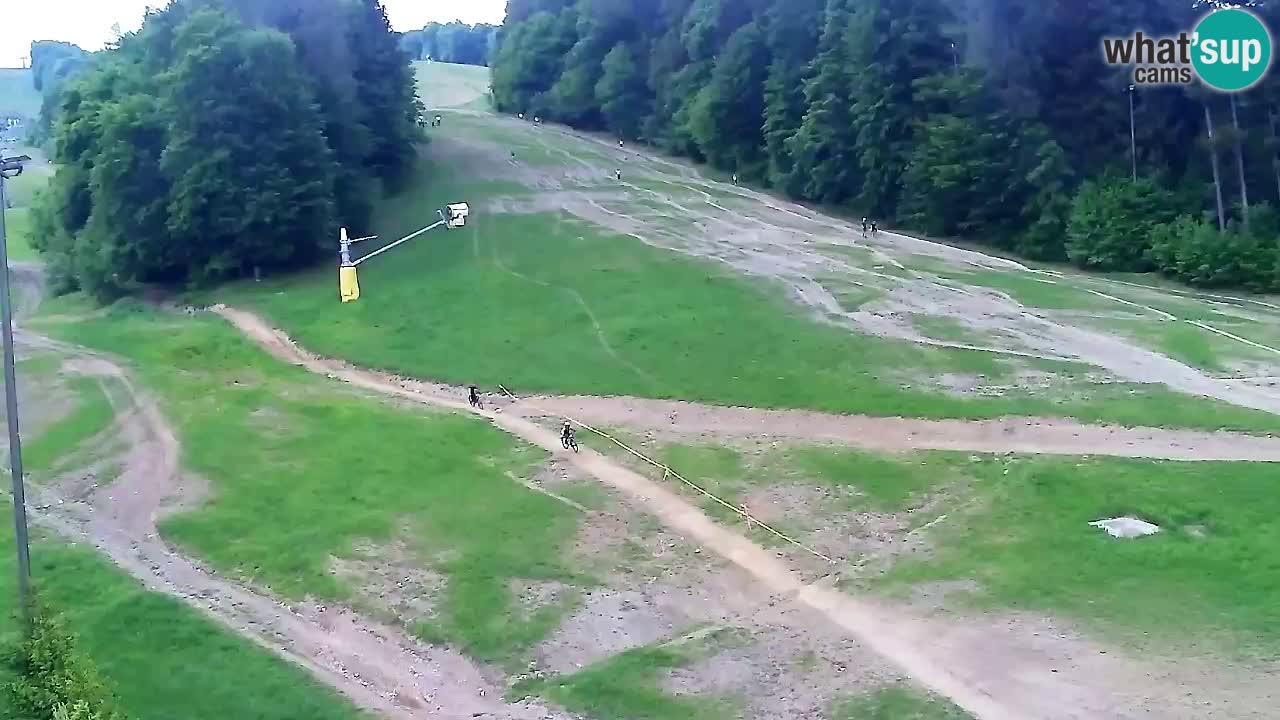 Webcam Pohorje Trikotna Jasa | Poštela