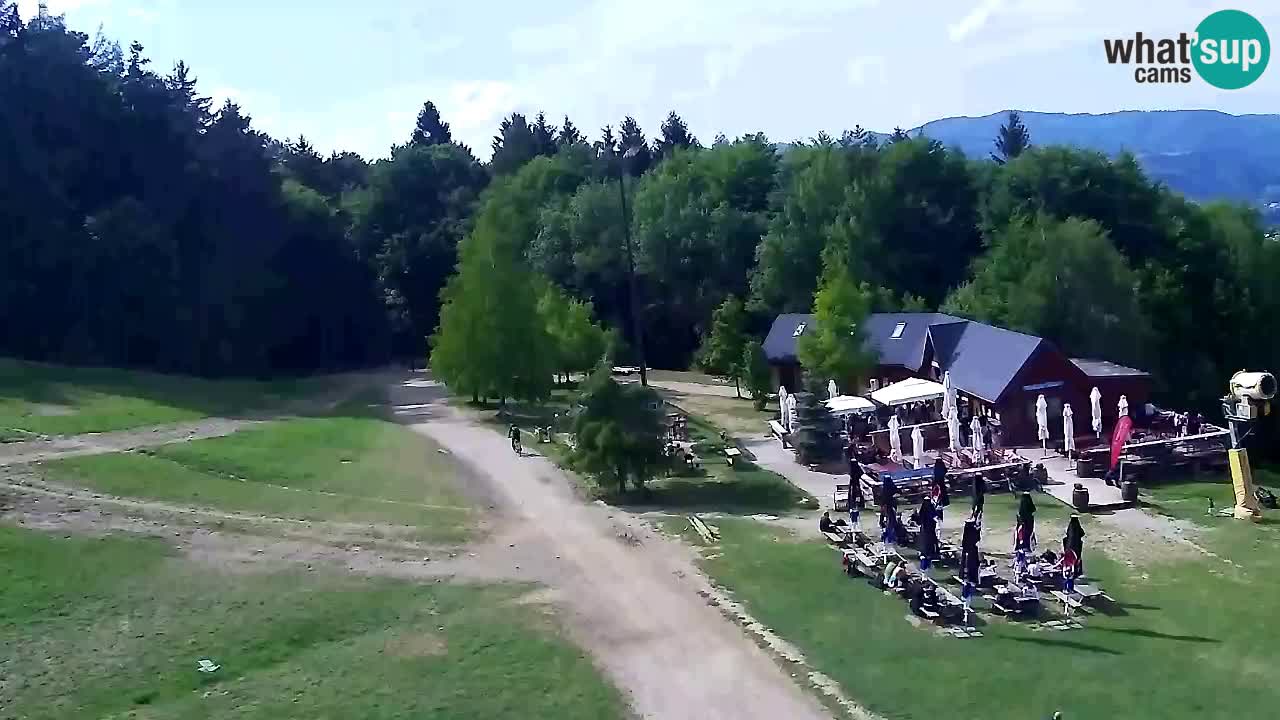 Webcam Pohorje Trikotna Jasa | Poštela