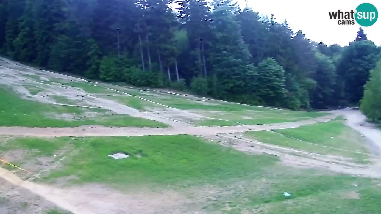 Webcam Pohorje Trikotna Jasa | Poštela