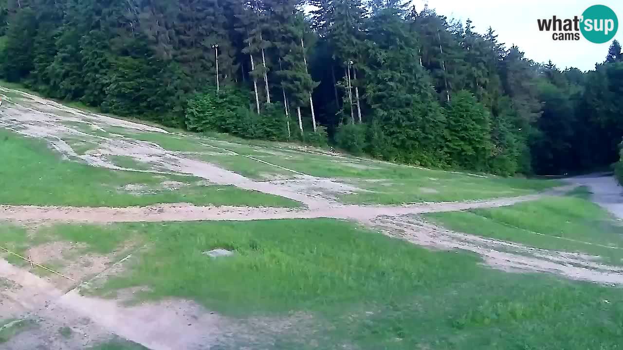 Webcam Pohorje Trikotna Jasa | Poštela