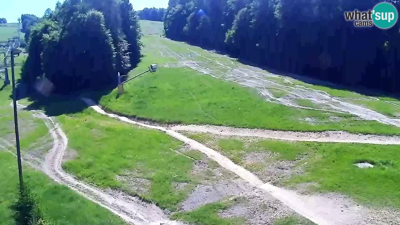 Webcam Pohorje Trikotna Jasa | Poštela