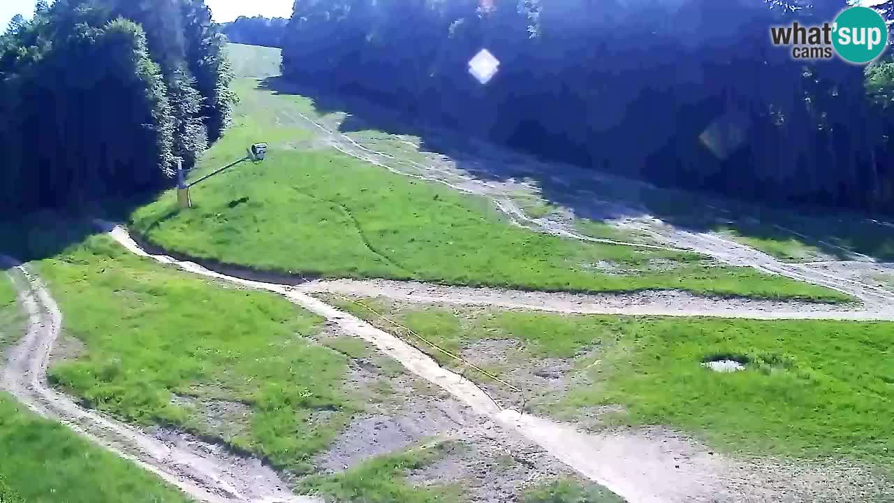 Spletna Kamera Pohorje Trikotna Jasa | Poštela