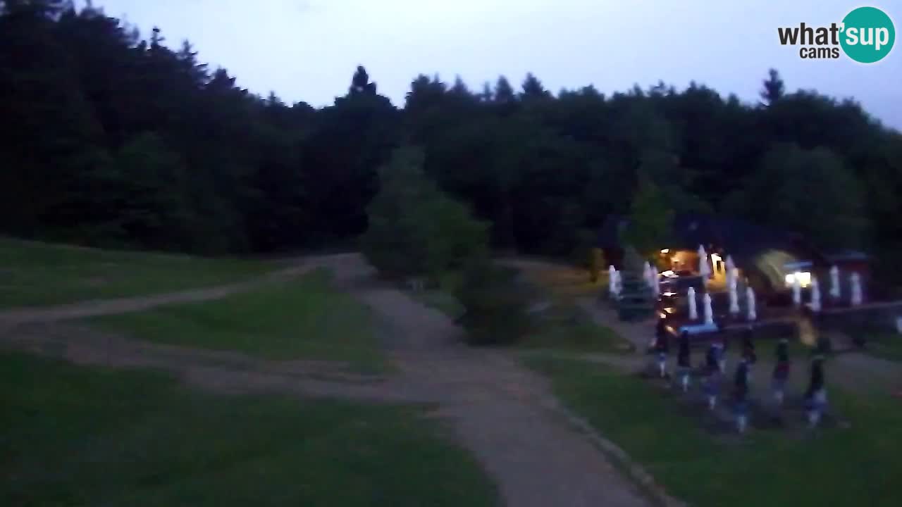 Webcam Pohorje Trikotna Jasa | Poštela