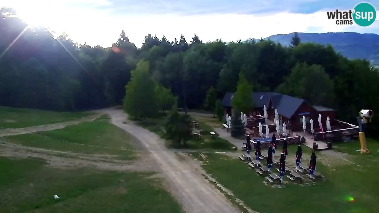 Webcam Pohorje Trikotna Jasa | Poštela