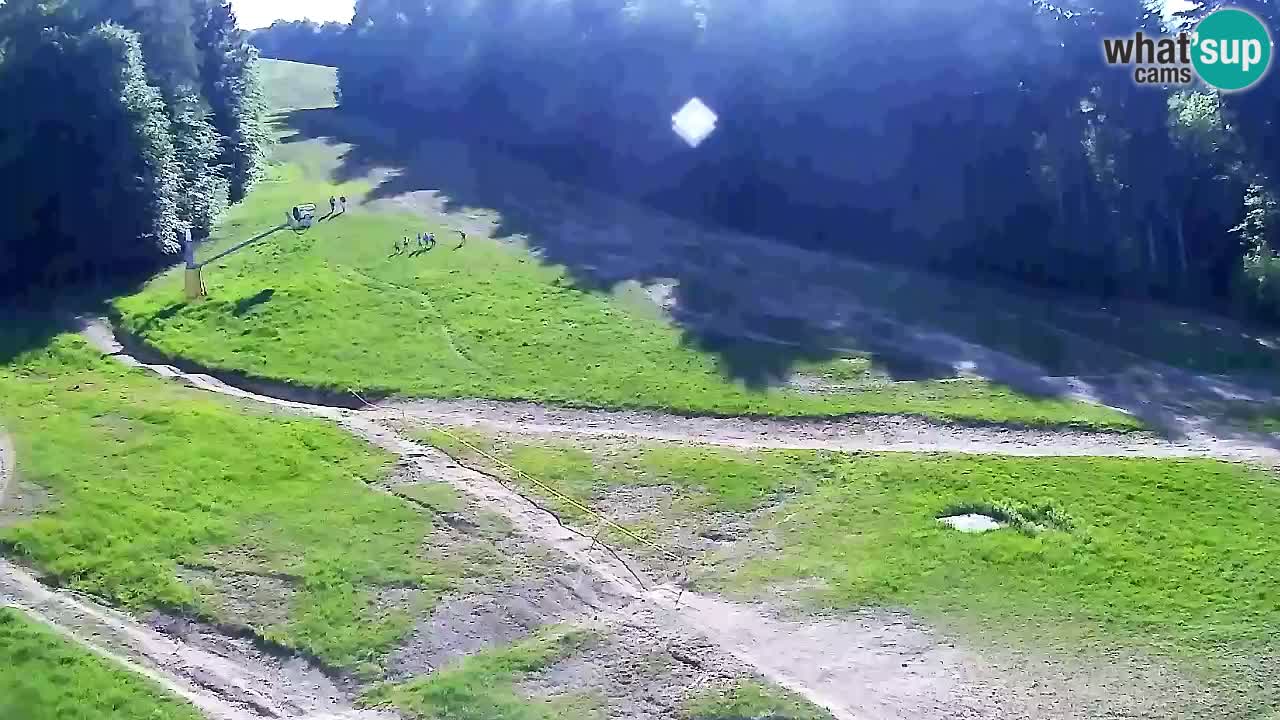 Webcam Pohorje Trikotna Jasa | Poštela