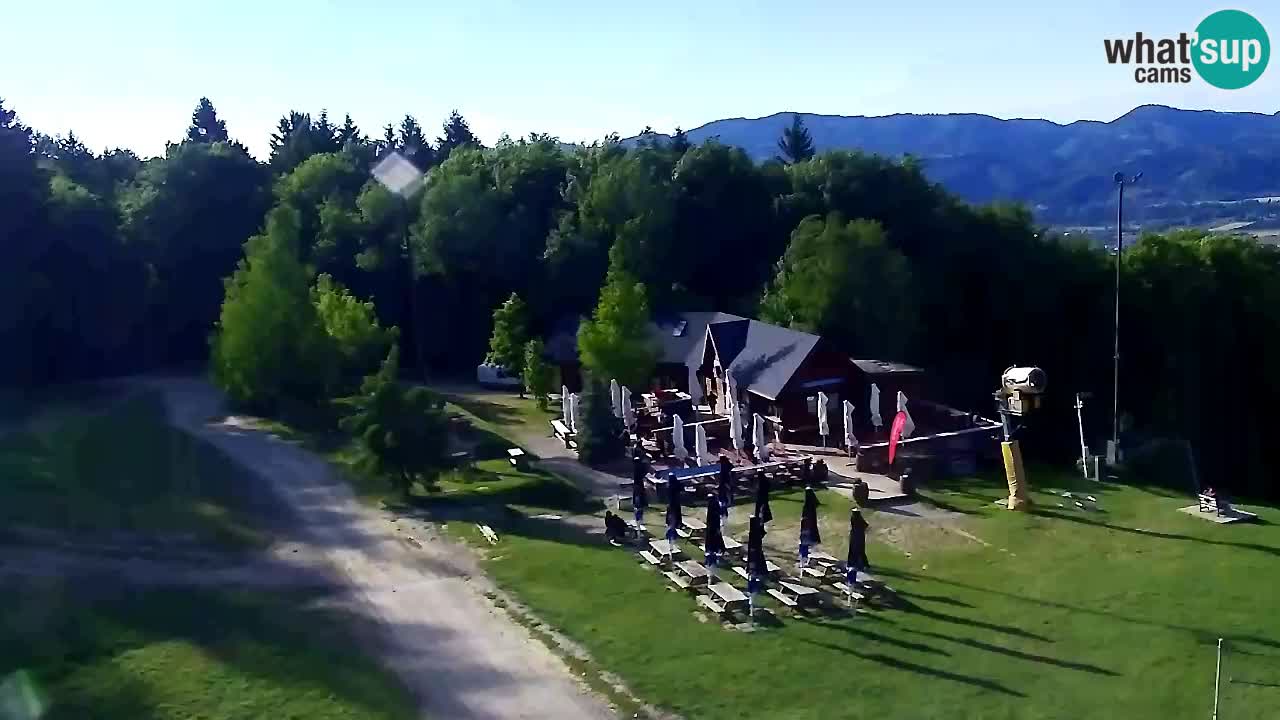 Webcam Pohorje Trikotna Jasa | Poštela