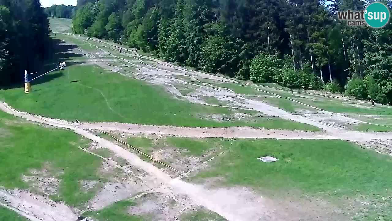Webcam Pohorje Trikotna Jasa | Poštela
