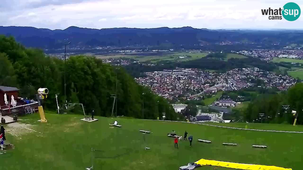 Webcam Pohorje Trikotna Jasa | Poštela