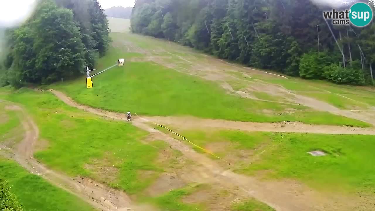 Webcam Pohorje Trikotna Jasa | Poštela