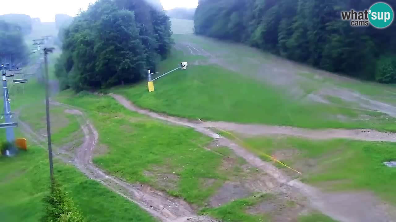 Webcam Pohorje Trikotna Jasa | Poštela