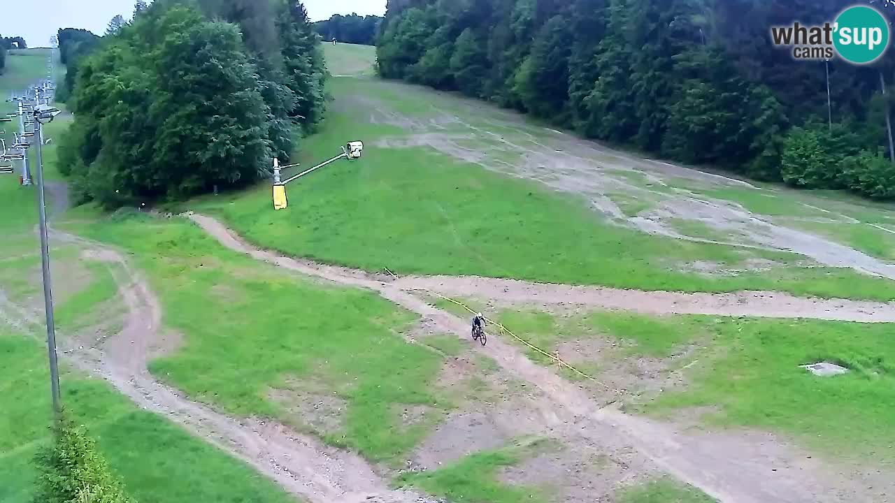 Webcam Pohorje Trikotna Jasa | Poštela