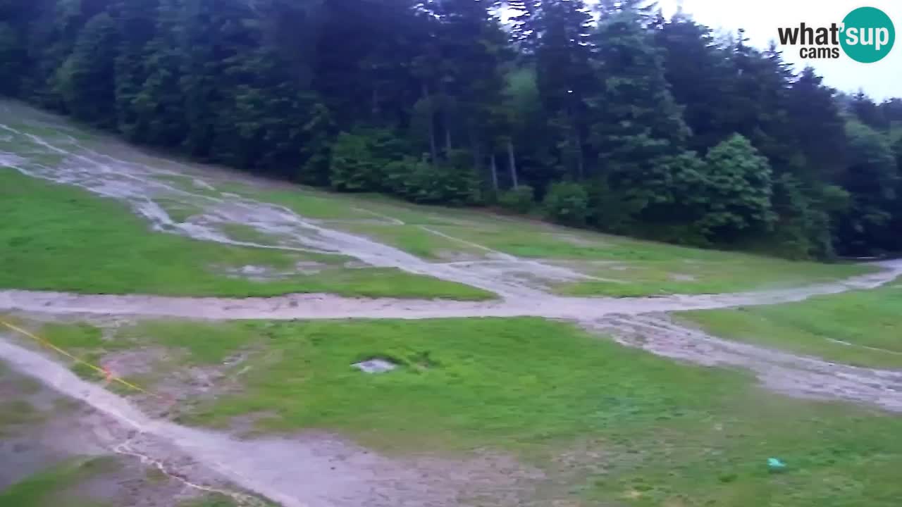 Web Camera Pohorje Trikotna Jasa | Poštela