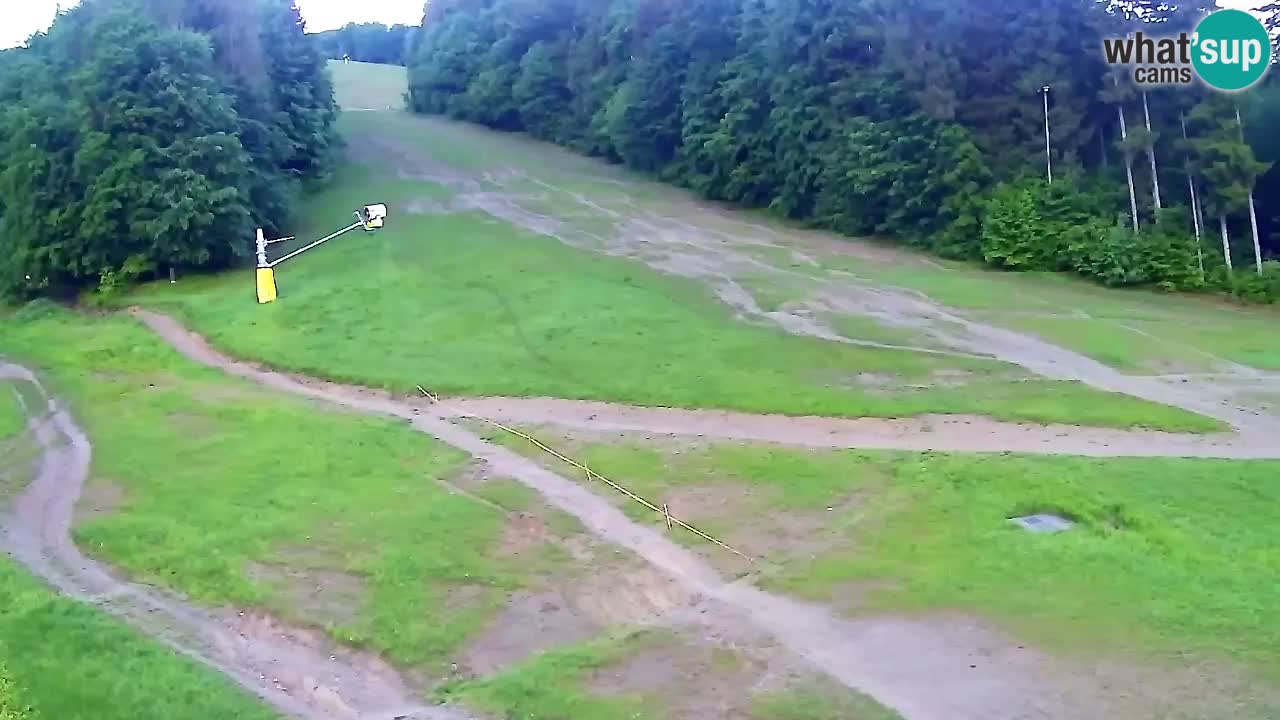 Webcam Pohorje Trikotna Jasa | Poštela
