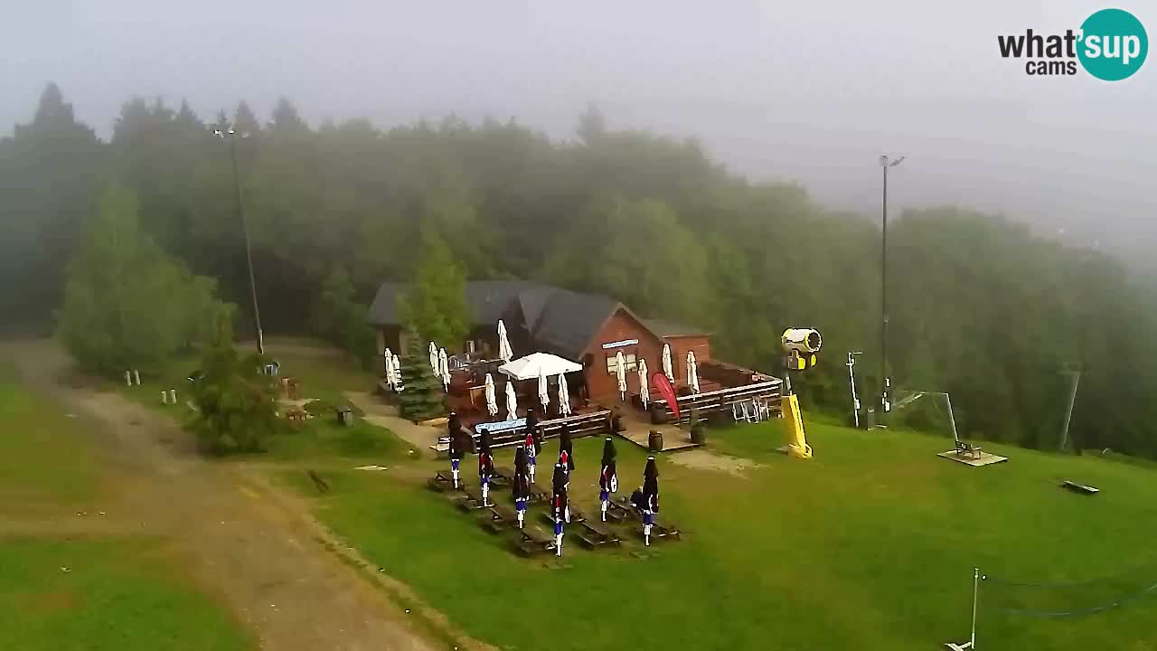 Webcam Pohorje Trikotna Jasa | Poštela