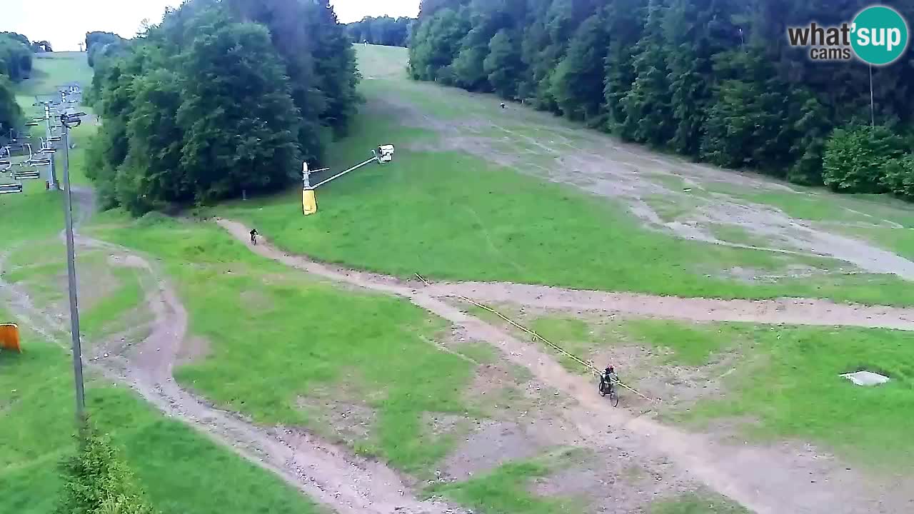 Webcam Pohorje Trikotna Jasa | Poštela