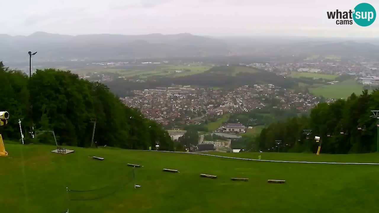 Web Camera Pohorje Trikotna Jasa | Poštela