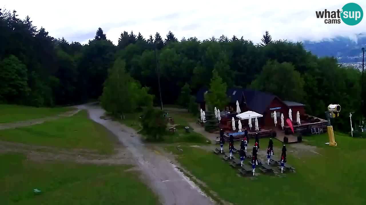 Web Camera Pohorje Trikotna Jasa | Poštela