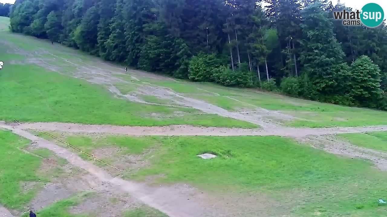 Webcam Pohorje Trikotna Jasa | Poštela